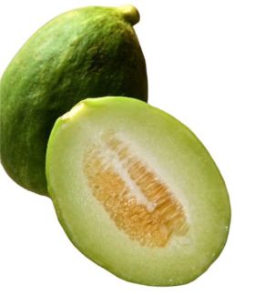 cetriolo melone barattiere licatese momo rb sementi